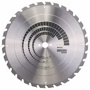 Bosch Ripzāģa disks 450X30Mm 2608640694
