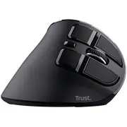 Pele Trust Voxx 23731