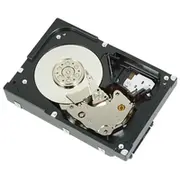 Dell 2Tb Nl6 7.2K 3.5 Inch  Mantaray 1D9Nn 2000 5712505255377