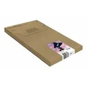 Epson Multipack 4Colours 502Xl Easymail  C13T02W64510 toneris