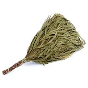 Eucaliptus-Tree Bundle Flammifera 260928 4772013328698  Joinedit61272935 Dārza mēbeles