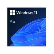 Microsoft Win Pro 11 Esd Fqc-10572  Fqc 10572