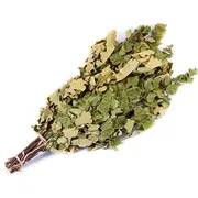 Oak/Birch-Tree Bundle Flammifera 260508 4772013328643  Joinedit61272929 Dārza mēbeles