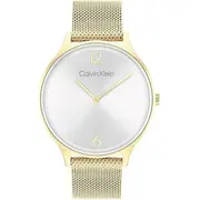 Zegarek Damski Calvin Klein Timeless Mesh 25200003  Box 7613272456715 Joinedit72916978 Rokas pulksteņi