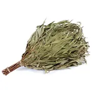 Large Eucalyptus Vant Flammifera 261048 4772013328681  Joinedit61272934 Dārza mēbeles