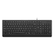 Lenovo Essential Wired Keyboard / With Copilot Button/ Us English  4Y41R64633 klaviatūra