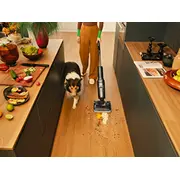 Roborock F25 Ace Combo handheld vacuum Black Bagless  6974653812447 Morph Pro Mix Wd5M6A512-00 Putekļu sūcējs
