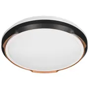Activejet Led ceiling light Aje-Petrus 24W  Aje Petrus