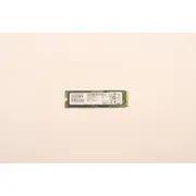 Lenovo SsdAsm Storage Ssd Pm981 Pcie  5704174641384 01Fr511 disks