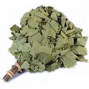 Oak-Tree Bundle Flammifera 260287 4772013328636  Joinedit61272928 Dārza mēbeles