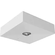 Awex Oprawa awaryjna Lv3N Ip20 Led 1W Opt. otwarta 1H jednozadaniowa biala Lv3N/O/1W/B/1/Se/X/Wh 5902869550182  Joinedit24261797