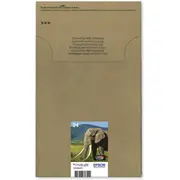 Epson 2434392 24  Multipack C13T24284510 kārtridžs