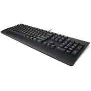 Lenovo DtKyb Usb Trdtnl Kb Bk Spa Preferred Pro Ii  Standard 5704174815938 00Xh720 Datora pele