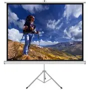 Art Er T120 43 Ekran Ręczny Na Statywie 120 244X183Cm Ts-120  5902115406621