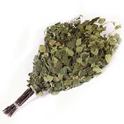Birch-Tree Bundle Flammifera 260263 4772013328629  Joinedit61272927 Dārza mēbeles