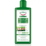 Beauty Formulas Equilibra Tricologica Naprawczy Szampon restrukturyzujacy - wlosy matowe i zniszczone 300Ml 725566 8000137015566  Joinedit22868766