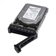 Dell 4Tb  Sas 7200Rpm Dtk38