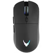 Roger G-1800 Wireless Gaming Mouse Dpi 1600 /  Type-C 4752168149737 Joinedit72979847 Datora pele