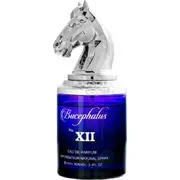 Armaf Bucephalus Xii Edp 100Ml 14220040 6294015159851 Vīriešu Smaržas