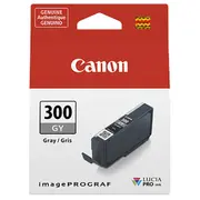 Canon Pfi-300 Gy grey  4200C001 kārtridžs