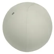Leitz Ergo -Aktiivipallo tasapainottavalla lisapainolla 65 cm  vaaleanharmaa 65420085