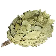 Sauna Whisk Oak Lux Flammifera 263387 4772013328674  Joinedit61272933 Dārza mēbeles