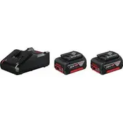Bosch 2X Gba 18V 4.0Ah  Gal 18V-40 - 1600A019S0