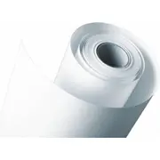 Hahnemuhle Photo Pearl 61 cm x 25 m  310 g Hah10643221 papīrs