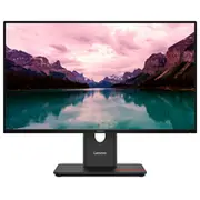 Lenovo Thinkvision T24-40 23.8Inch Ts  64A4Matxeu monitors
