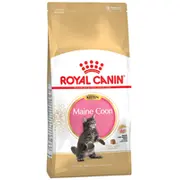 Royal Canin Maine Coon Kitten 2Kg  3182550816502 353337 60436 Dlzroyksk0013